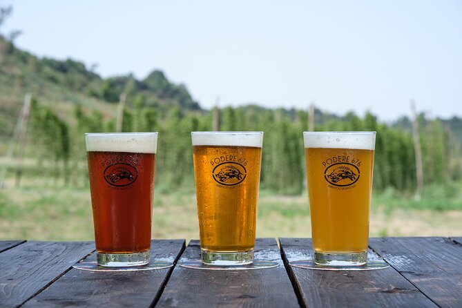 Agricultural Brewery Tour in the Roman Countryside - How the four hours are likely to feel