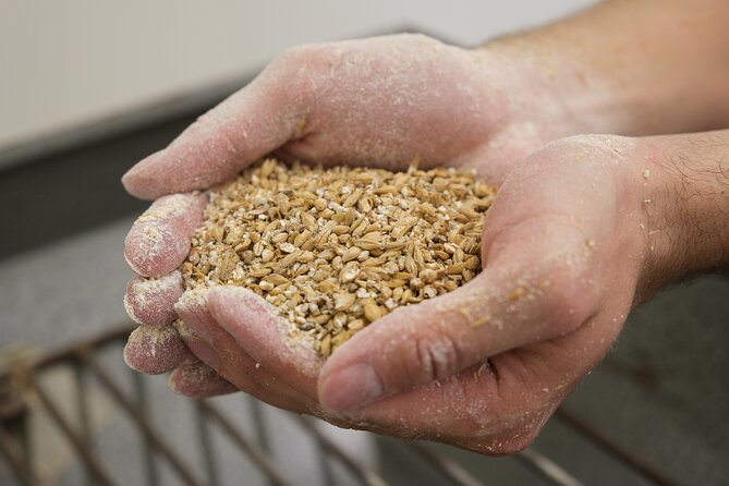 Agricultural Brewery Tour in the Roman Countryside - Inside Podere 676, from cooking to bottling