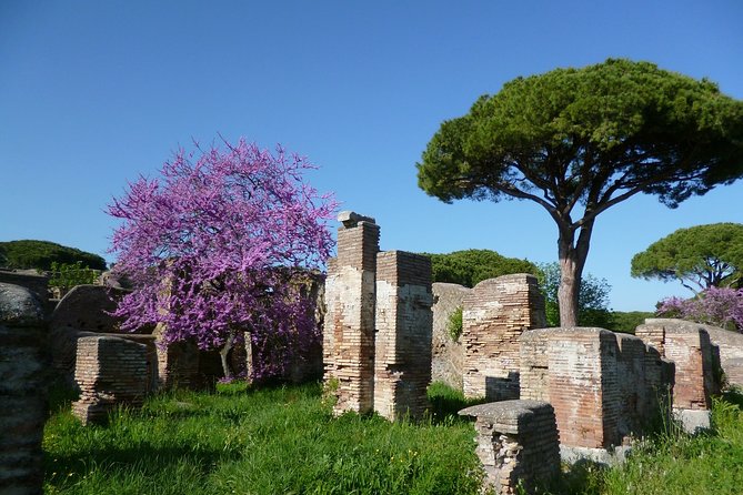 All-included Guided Tour of Ancient Ostia from Rome with Hotel Pickup & Drop Off - Who gets the best value from the $444.32 price