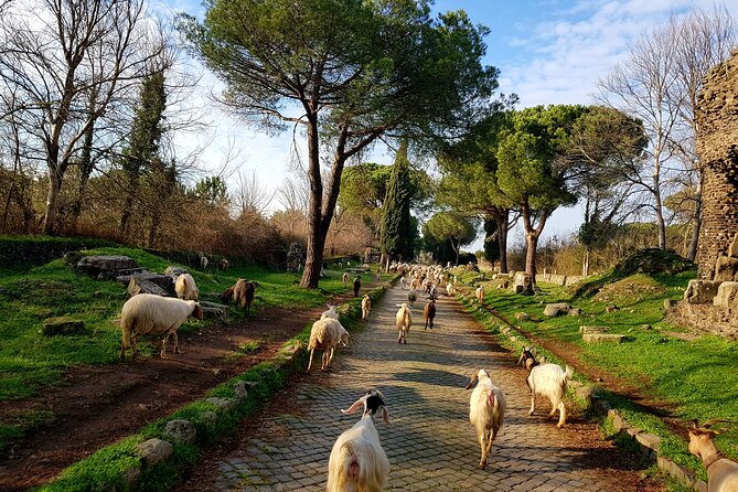 Ancient Appian Way and Roman Countryside E-Bike Tour - Is the e-bike really needed?