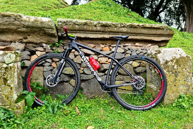 Ancient Appian Way and Roman Countryside E-Bike Tour - Guides, explanations, and communication