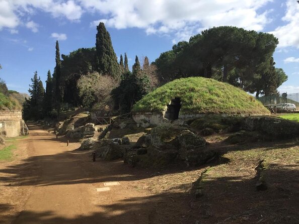 Ancient Etruscan Civilization Tour from Rome - Key points at a glance