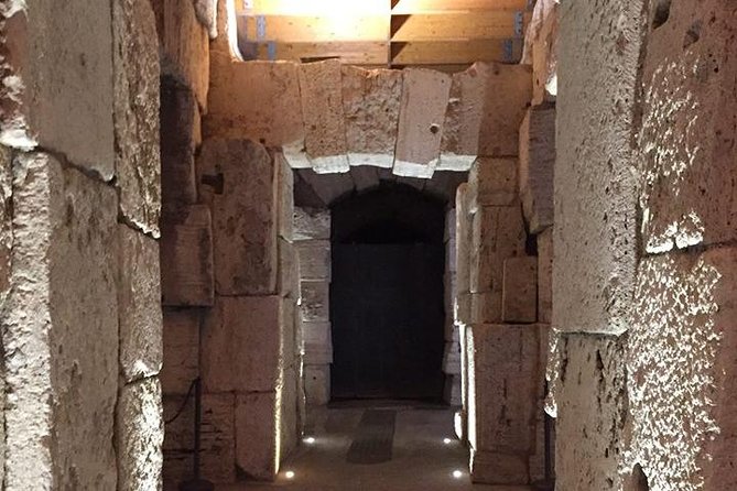 Ancient Rome and Colosseum Private Tour with Underground Chambers and Arena - The Roman Forum, Rome’s civic center