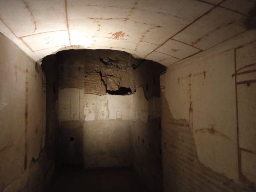 Ancient Rome and Domus Tiberiana Exclusive Guided Tour - Inside Domus Tiberiana, Rome’s imperial address