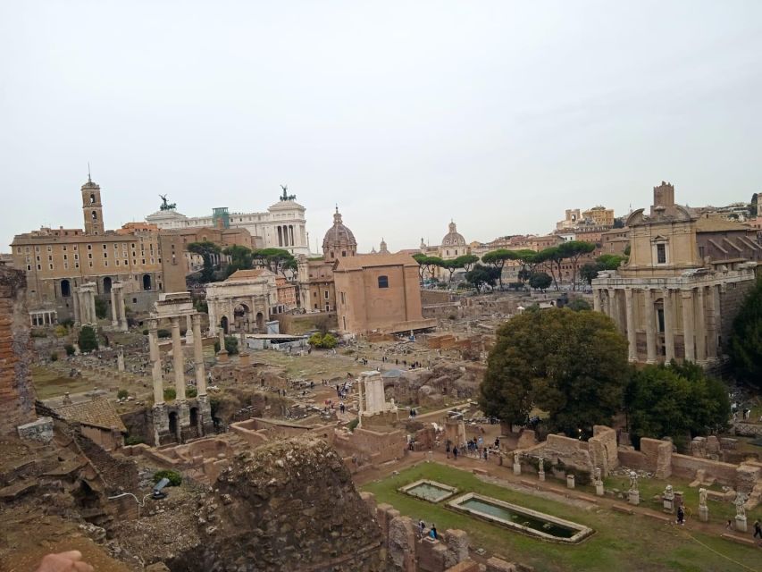 Ancient Rome and Domus Tiberiana Exclusive Guided Tour - What the guided format adds