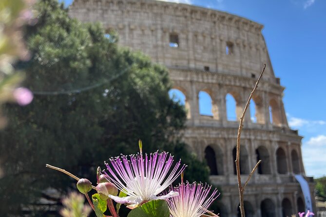 Ancient Rome: Colosseum + Digital Booklet and Audioguide - Who will get the most from this format