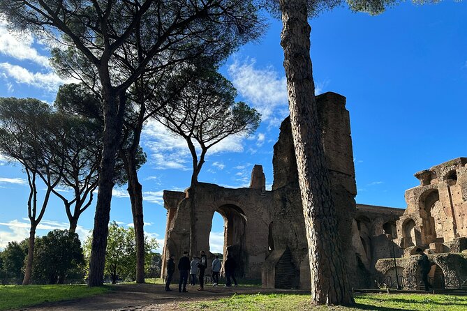 Ancient Rome Discovery: Colosseum, Forum, Palatine Guided Tour - Climbing Palatine Hill for the city views