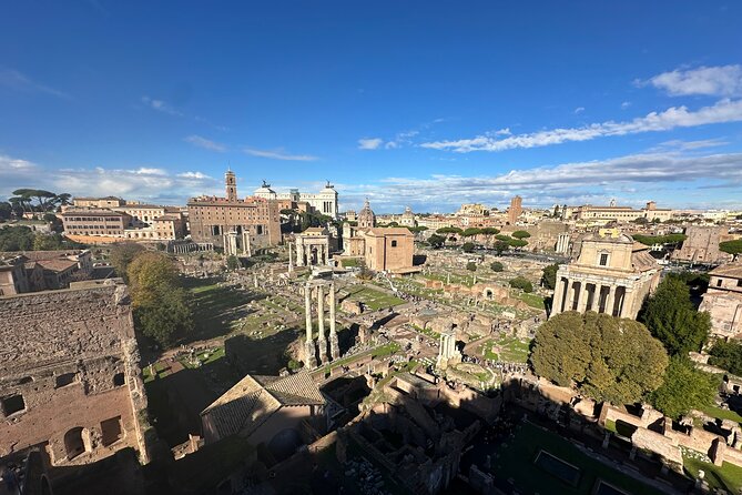 Ancient Rome Discovery: Colosseum, Forum, Palatine Guided Tour - How much value do you get for $156?