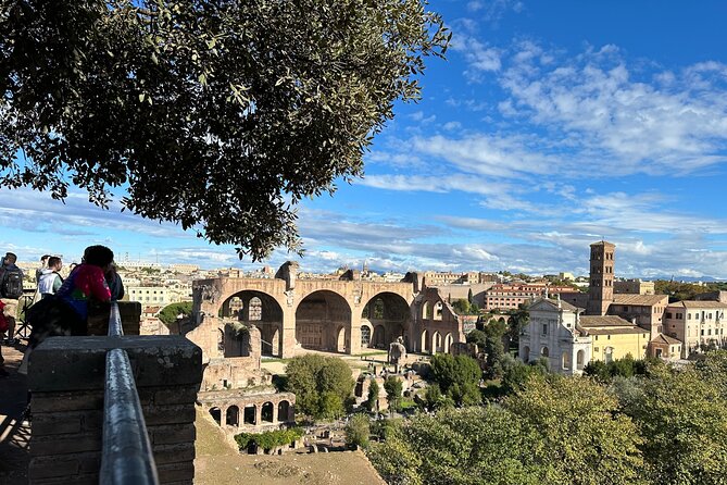 Ancient Rome Discovery: Colosseum, Forum, Palatine Guided Tour - Who will enjoy this Rome walking tour?