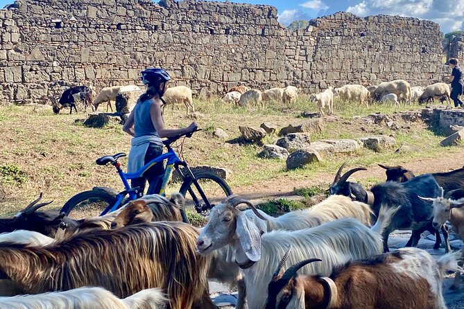 Appian Way & Aqueducts small group e-bike tour(catacombs & food) - Cecilia Metella and the famous ancient road