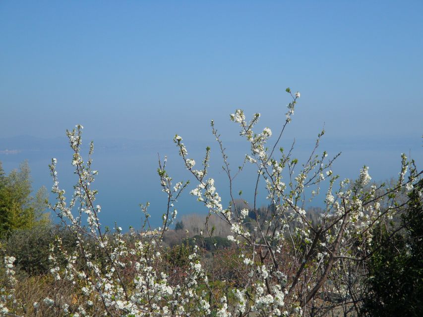 Bracciano: Odescalchi-Orsini ancient Castle Tour with Lunch - How the 8.5-hour schedule feels