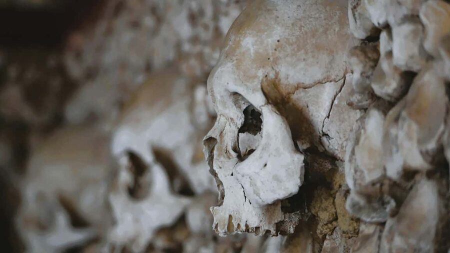 Capuchin Crypt Visit & Rome Dark Past Walking Tour - Is $65 A Fair Price?
