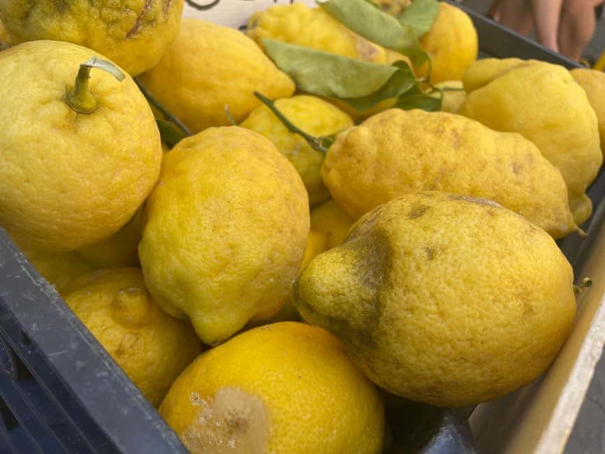 Civitavecchia: Historical and Culinary Walking Tour - Practical advice for a smooth three hours