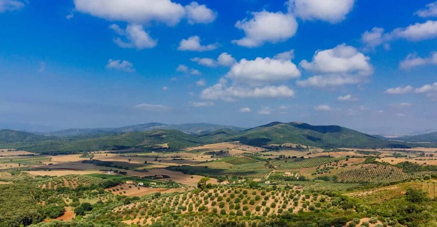Civitavecchia: Tuscany Full-Day Guided Trip w/Wine Tasting - Montemerano, a medieval village with quiet character