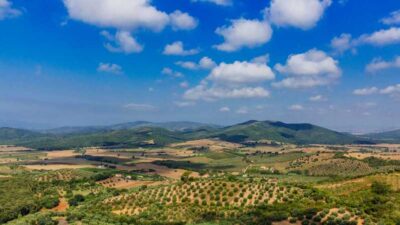 Tuscany Full-Day Guided Trip w/Wine Tasting