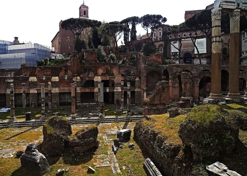 Colosseum, Forum & Palatine Hill Guided Walking tour - Reaching Palatine Hill and its imperial ruins