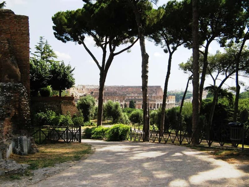 Colosseum, Forum & Palatine Hill Guided Walking tour - The guides make the difference