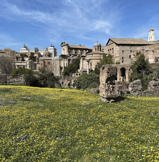 Colosseum, Roman Forum, Palatine Hill - the PRIVATE TOUR - Key points to know before booking