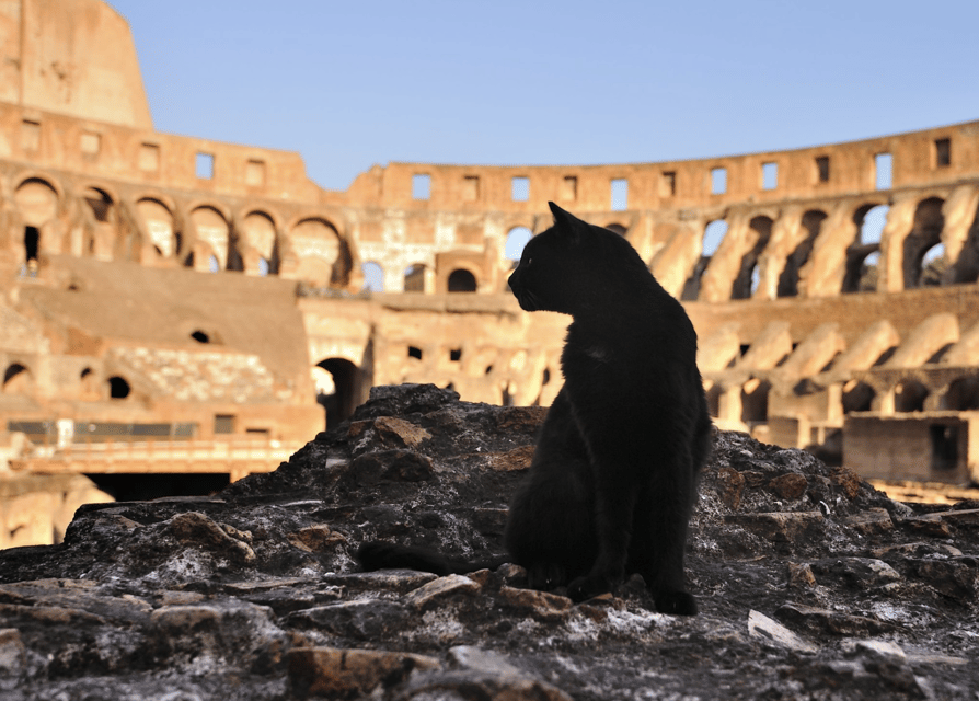 Colosseum, Roman Forum, Palatine Hill - the PRIVATE TOUR - Entering the Colosseum with reserved access