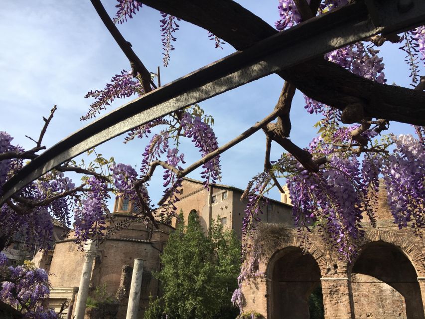 Colosseum, Roman Forum, Palatine Hill - the PRIVATE TOUR - Price, private attention, and overall value