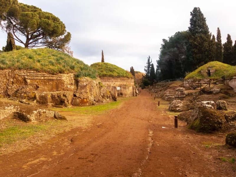 Day trip Rome: Tarquinia and Cerveteri, Etruscan tour - Is $130.28 a fair price?