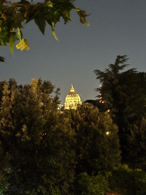 Elegant Rome by night tour and dinner in a local restaurant - Piazza Navona and the historic center