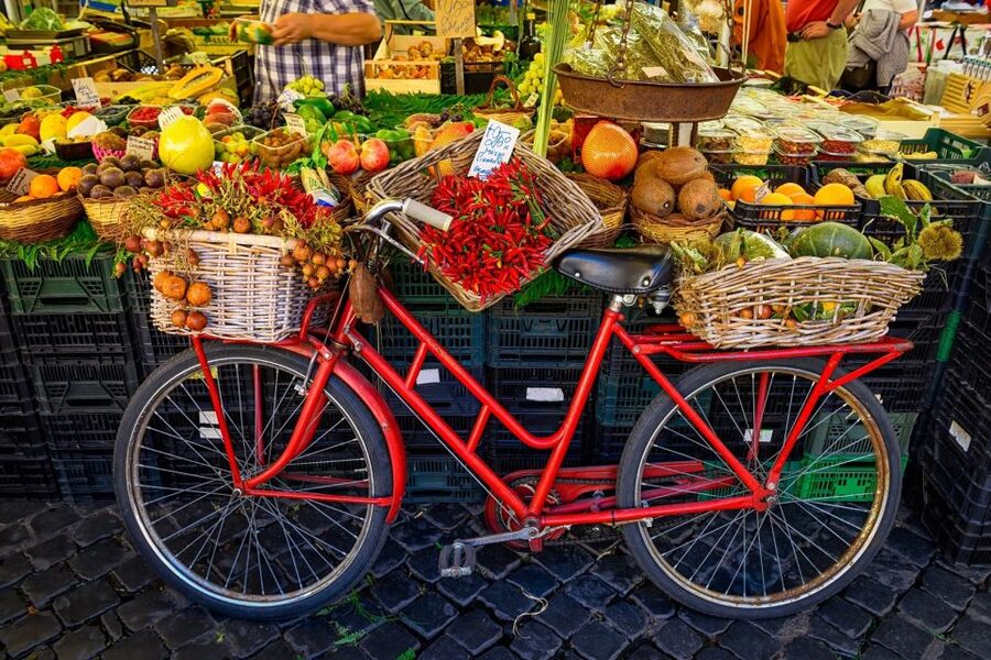 Exclusive cooking class in Roman countryside with local chef - From Rome Termini to the Zagarolo kitchen