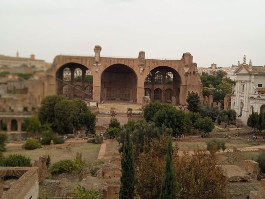 Exclusive tour of Ancient Rome and Domus Tiberiana - Views Toward Circus Maximus