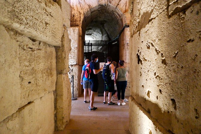 Expert Guided Tour of Colosseum Arena OR Underground, and Forum - Palatine Hill and the best high views