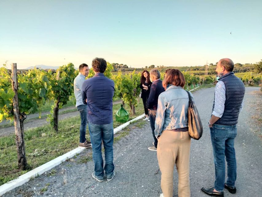 Frascati: 3-Hour Wine and Oil Tasting with Lunch/Dinner - Seeing Frascati before the cellar tour