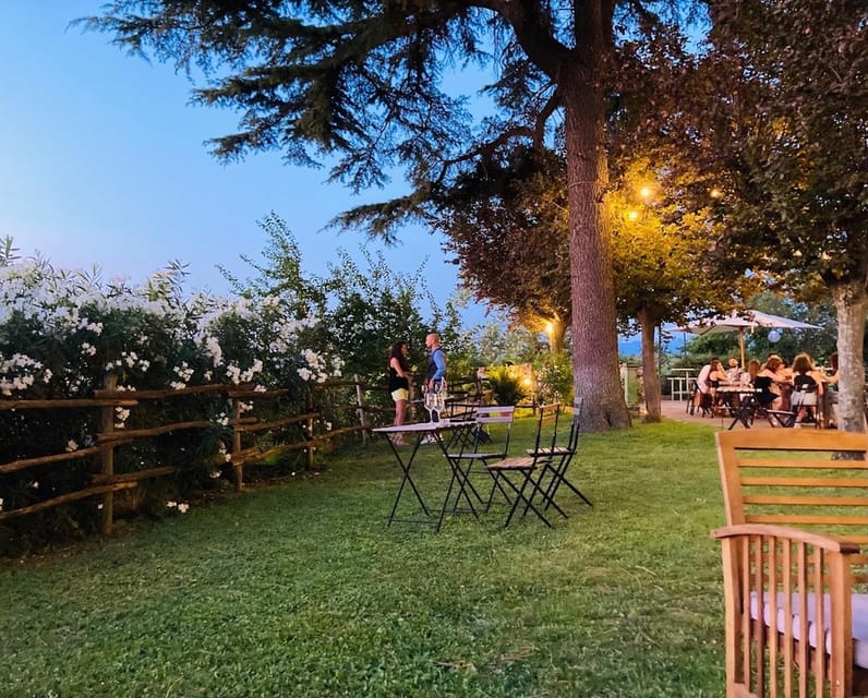 Frascati: 3-Hour Wine and Oil Tasting with Lunch/Dinner - Is $134 a fair price?