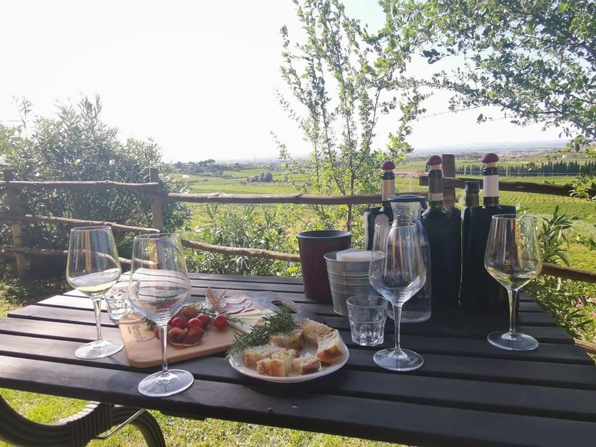 Frascati: 3-Hour Wine and Oil Tasting with Lunch/Dinner - Welcome refreshments and the first 20 minutes