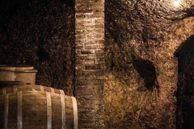Frascati Day Tour: Road from Rome with Wine Tasting & Lunch