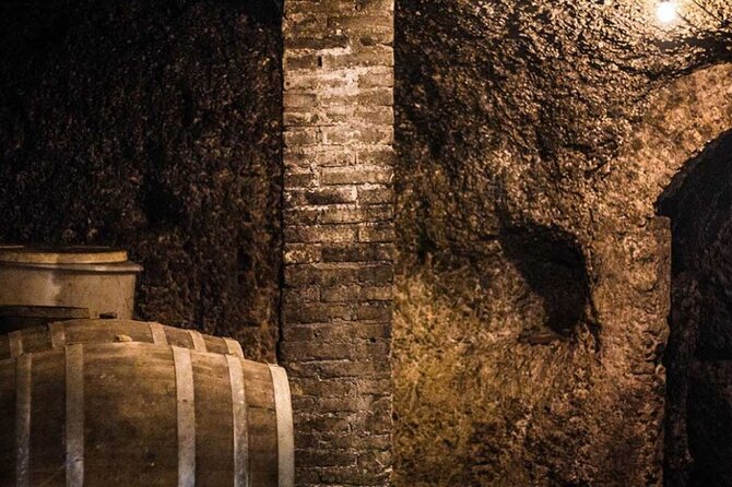 Frascati Day Tour: Road from Rome with Wine Tasting & Lunch - Tasting Frascati before the vineyard