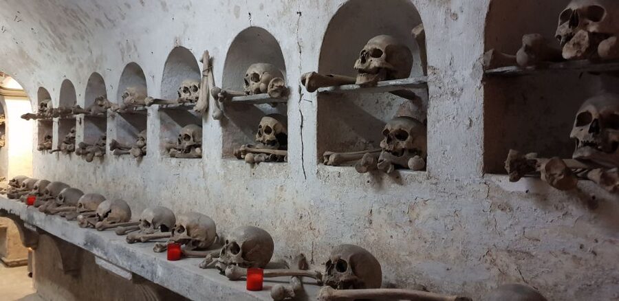From Civitavecchia: Guided Tour of the Catacombs of St. Seba - A seven-hour day from port to port