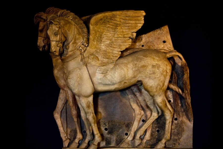 From Civitavecchia: Tarquinia & Unesco Site Visit with Lunch - Meeting your driver at Civitavecchia port