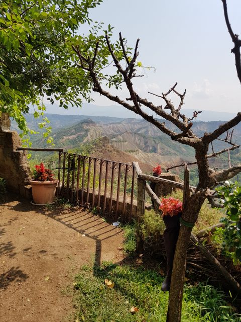 From Civitavecchia: the Dying City and Monster Park Tour - Who should take this excursion?