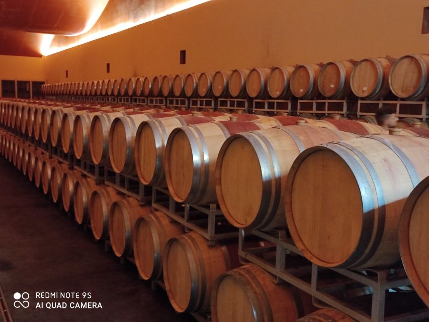 From Civitavecchia: Tuscany-Latium Wine Tour with Tastings - What the strongest praise tells you