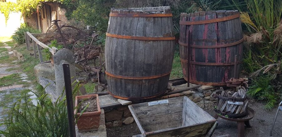 From Civitavecchia: Tuscany-Latium Wine Tour with Tastings - What the $243.56 price means