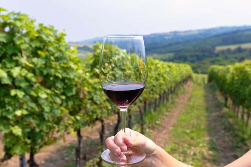 From Roma: Montepulciano and Montalcino, on the Wine Routes - Key points to know before booking