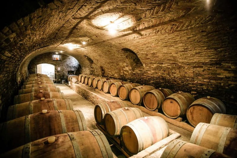From Roma: Montepulciano and Montalcino, on the Wine Routes - Montalcino and the Brunello Temple Museum