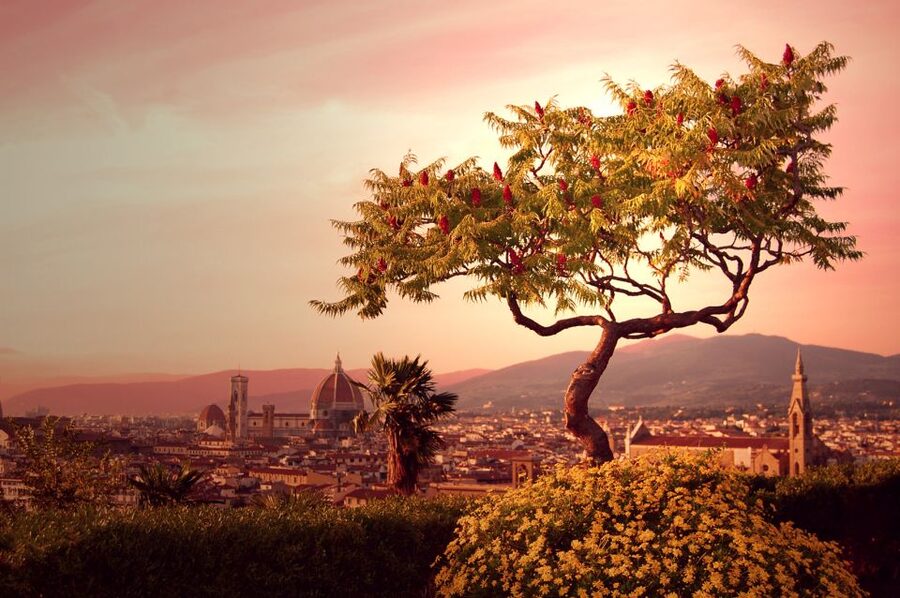 From Rome: Day Trip to Florence by High-Speed Train - Why a Rome to Florence day trip works