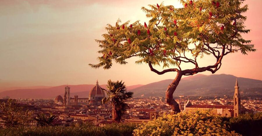 From Rome: Day Trip to Florence by High-Speed Train - Starting at Via Marsala and Rome Termini