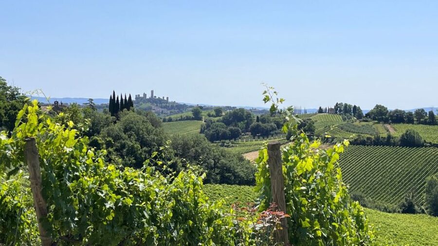 From Rome: Florence & Tuscany Day Tour by High-Speed Train - San Gimignano and its medieval towers