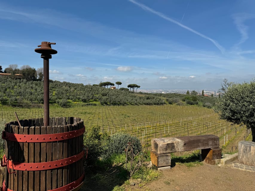 From Rome: Frascati Wine Tour with Lunch and Vineyard tour - Understanding the three wines