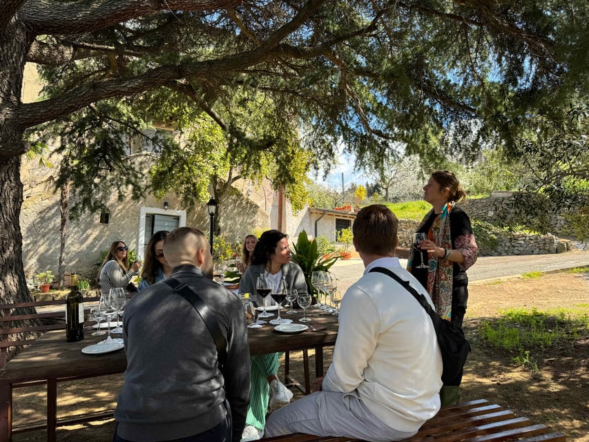 From Rome: Frascati Wine Tour with Lunch and Vineyard tour - Walking Frascati with a local guide