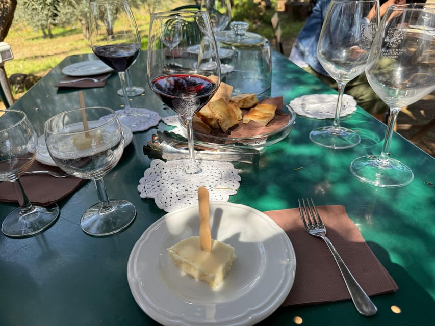 From Rome: Frascati Wine Tour with Lunch and Vineyard tour - Is the $123.48 price good value?