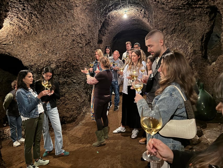 From Rome: Frascati Wine Tour with Lunch and Vineyard tour - Who will enjoy this half-day outing?
