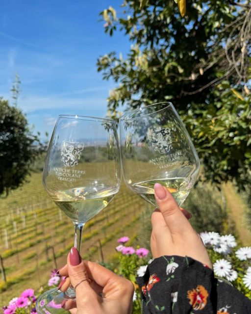 From Rome: Frascati Wine Tour with Lunch and Vineyard tour - A family winery, farmhouse, and Roman-era cellar
