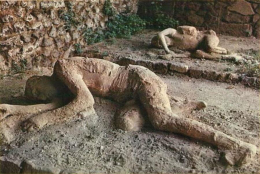From Rome: Pompeii All-Inclusive Tour with Live Guide - Lunch after the ruins